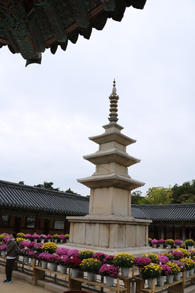 b75ae0ab2454bbfe62cf7894fa8984c4_1508843735_789.JPG