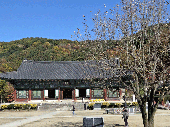 6a4596edb1029fecb42ae9b091c922cd_1762945860_1523.gif 6a4596edb1029fecb42ae9b091c922cd_1762945860_1523.gif