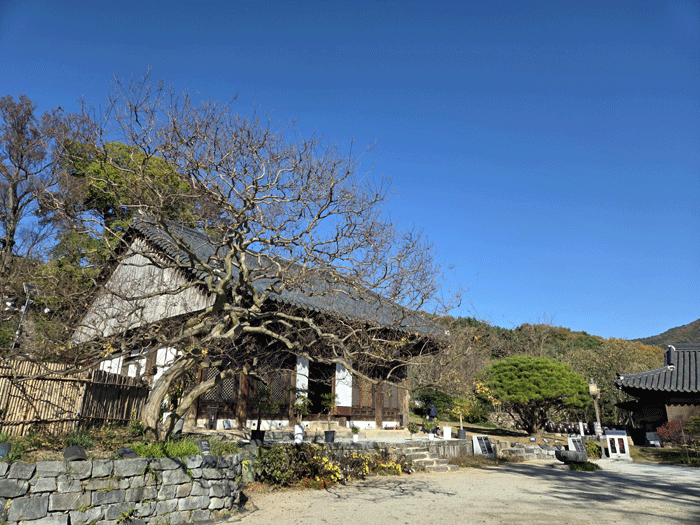 6a4596edb1029fecb42ae9b091c922cd_1762945871_3908.gif 6a4596edb1029fecb42ae9b091c922cd_1762945871_3908.gif