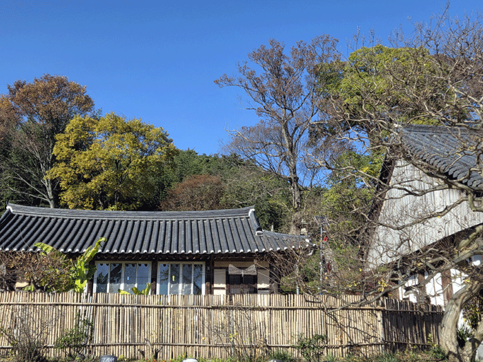 6a4596edb1029fecb42ae9b091c922cd_1762945871_4431.gif 6a4596edb1029fecb42ae9b091c922cd_1762945871_4431.gif