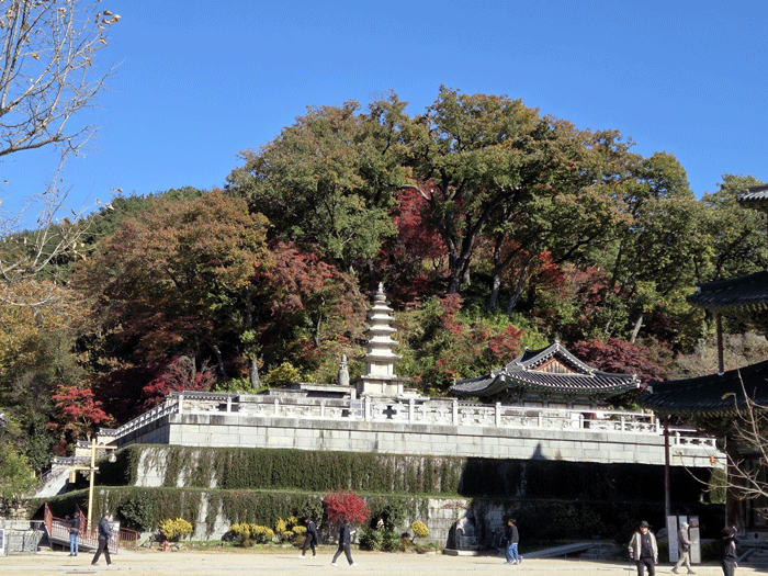 6a4596edb1029fecb42ae9b091c922cd_1762946240_9021.gif 6a4596edb1029fecb42ae9b091c922cd_1762946240_9021.gif