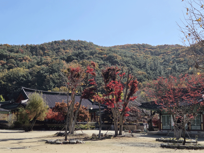 6a4596edb1029fecb42ae9b091c922cd_1762946240_9942.gif 6a4596edb1029fecb42ae9b091c922cd_1762946240_9942.gif